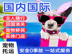 牡丹江海浪机场货运国际宠物托运 【国